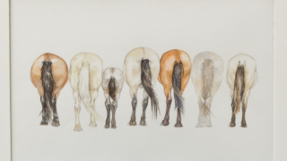Thumbnail of post image 084