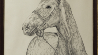 Thumbnail of post image 048