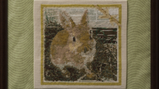 Thumbnail of post image 024