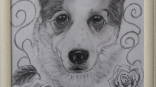 Thumbnail of post image 092
