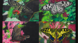 Thumbnail of post image 030