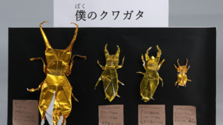 Thumbnail of post image 108