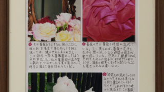 Thumbnail of post image 120