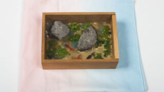 Thumbnail of post image 016